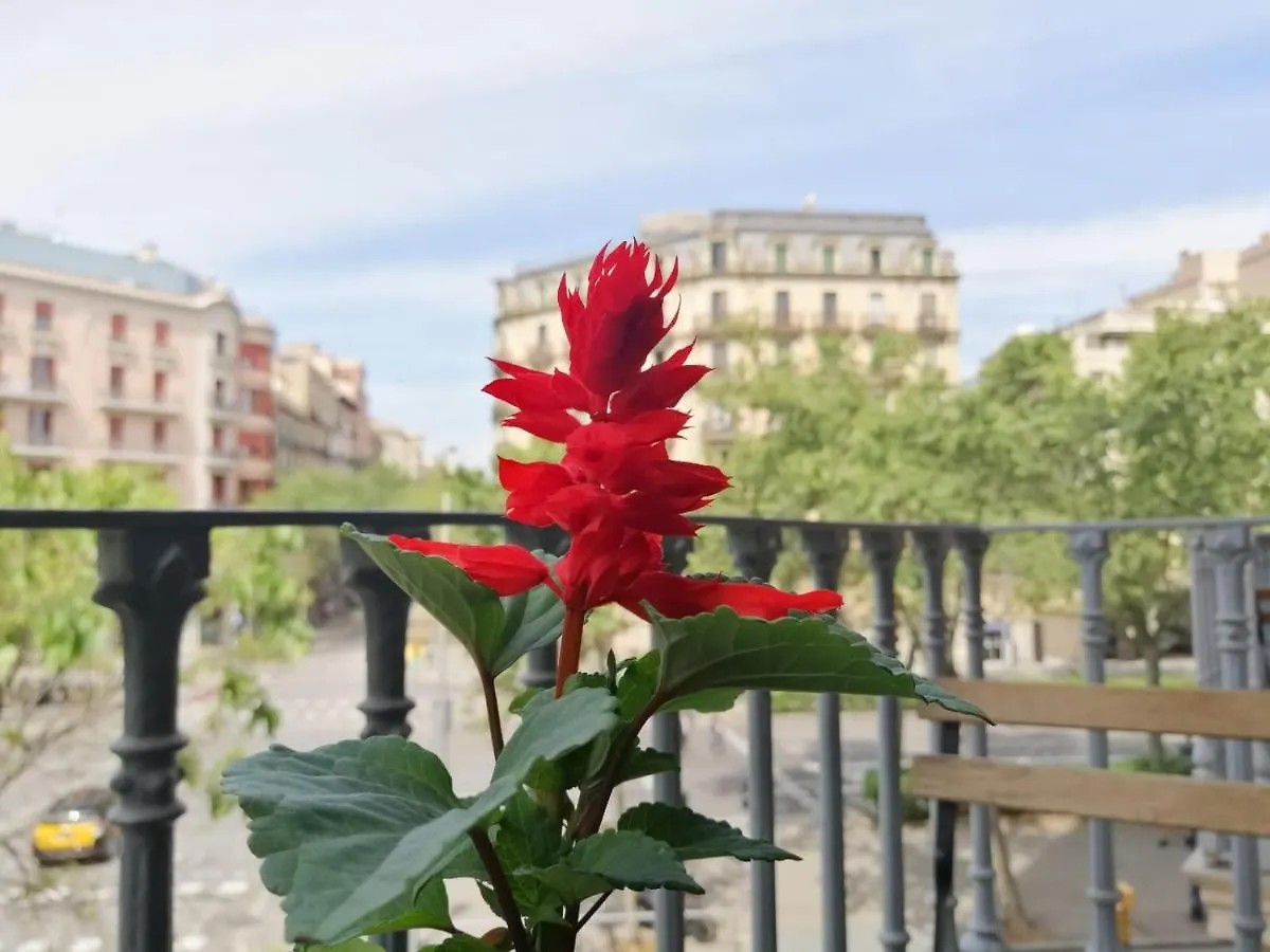Casa Consell Gran Via, Guest House Barcelona 2*,  Spain
